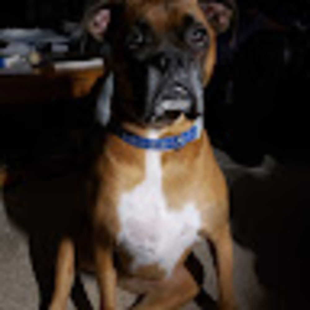 Meet your Posher, Amy